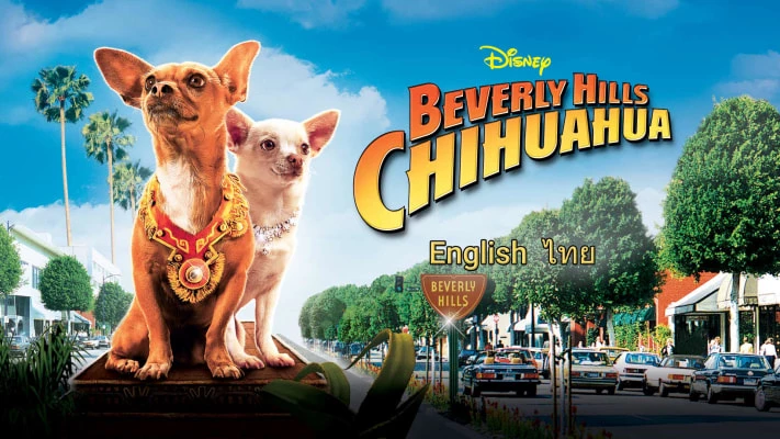 Những Chú Chó Chihuahua